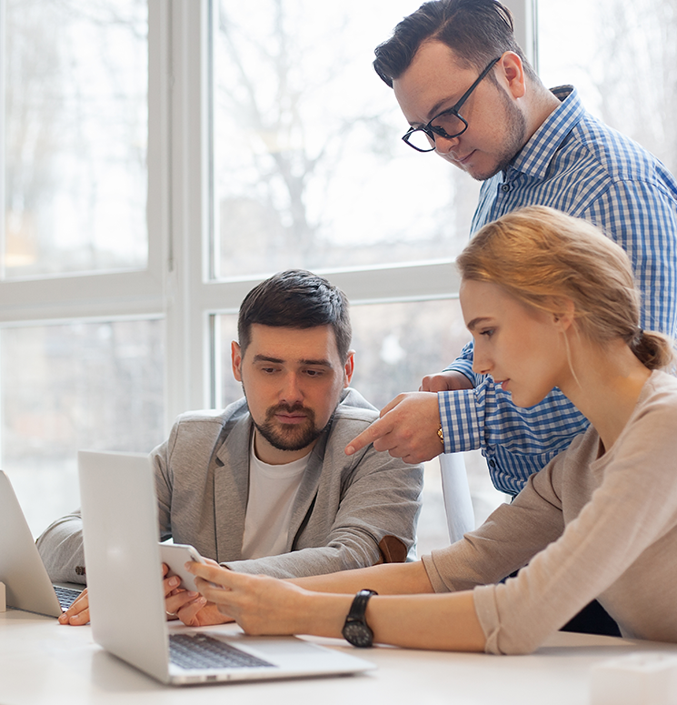 The Professional Designers 